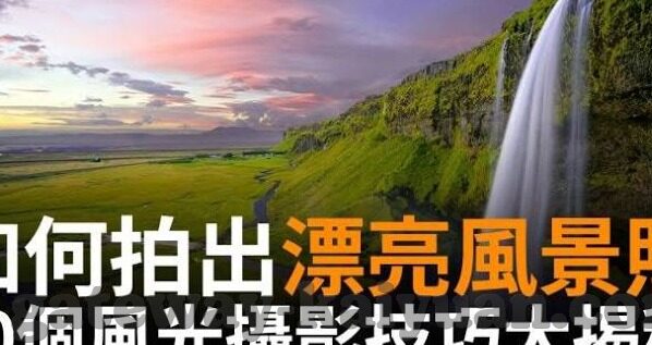 中班美术森林舞会教案-中班美术活动，森林舞会教案设计